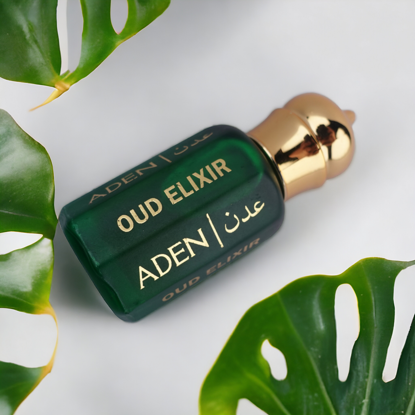 Oud Elixir | Woody Spicy Oud Attar Fragrance | 12ml