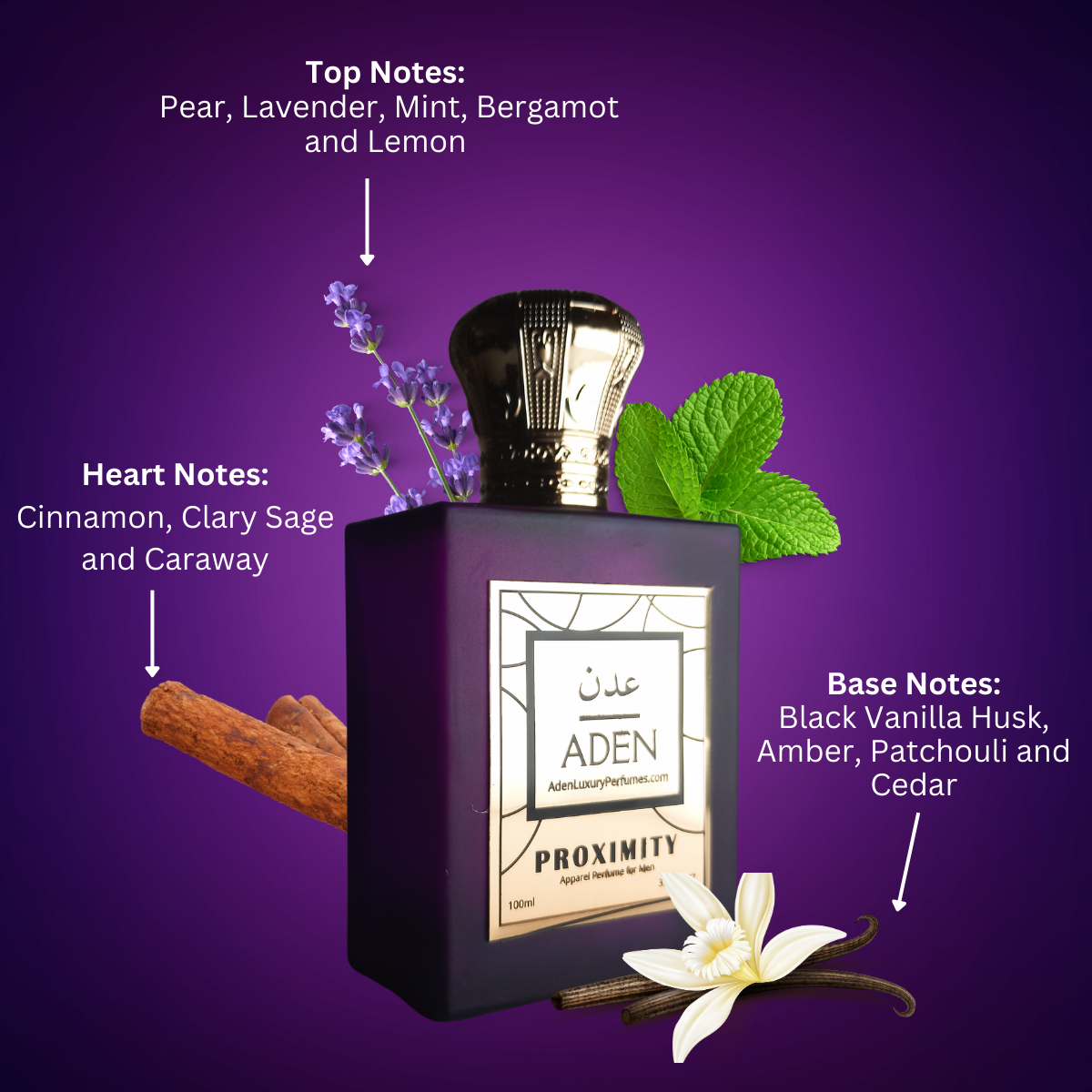 Proximity | The Ultimate Party Perfume | 100ml