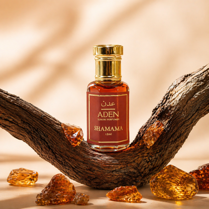 Shamama | Spicy Woody Amber Attar Fragrance | 12ml